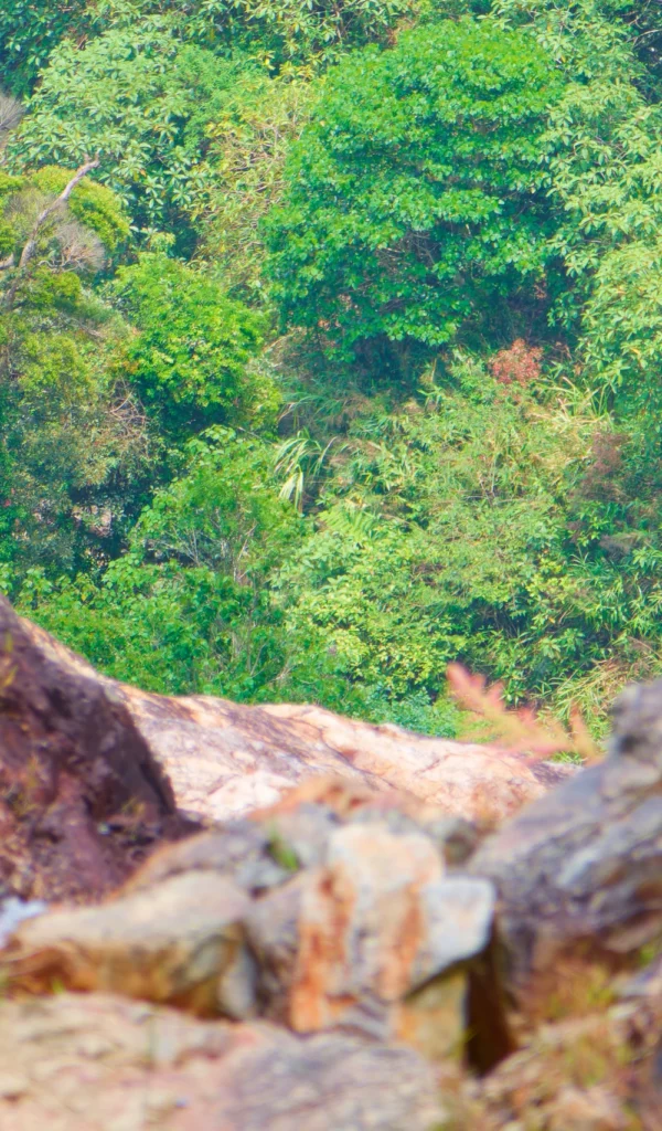 P1120828_DX