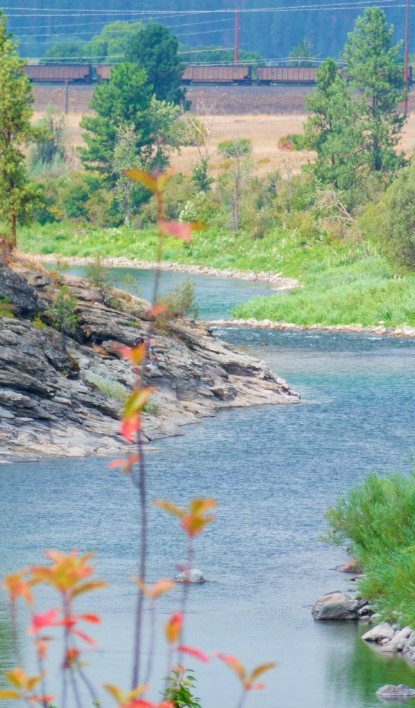 P1130733_DX