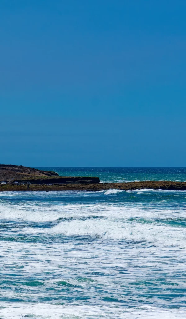 P1140327_DX