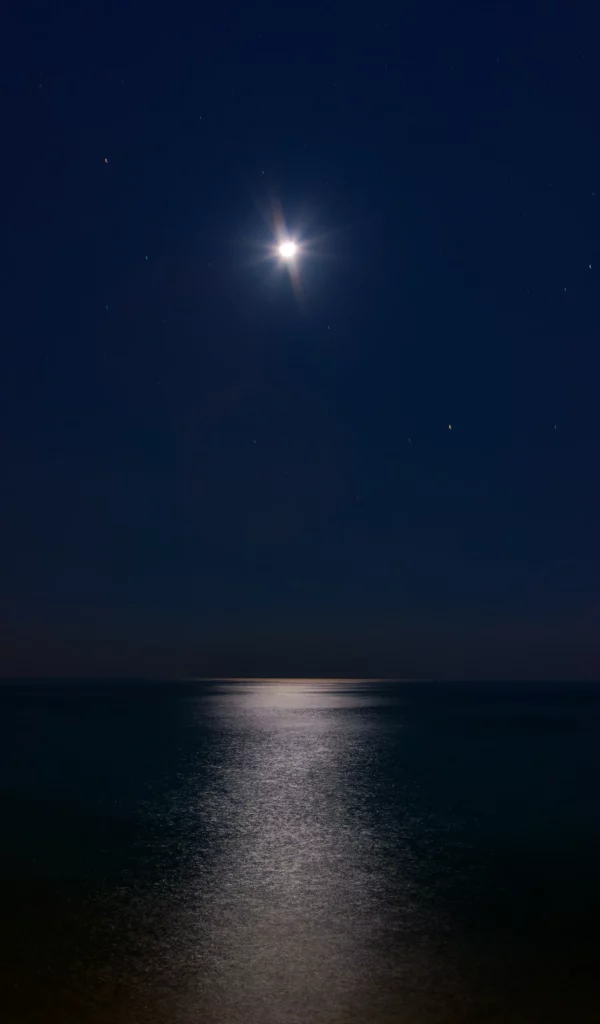 P1020802_DX